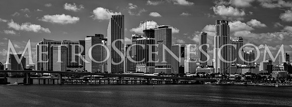 Miami Black and White