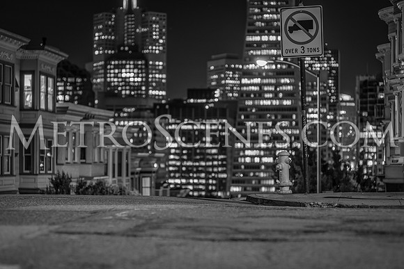 San Francisco Black and White