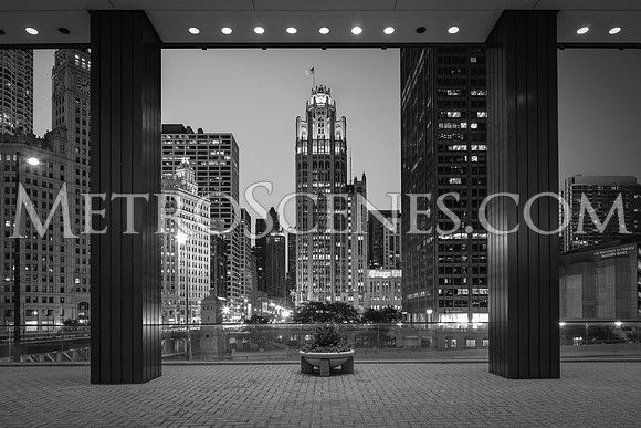 Chicago Black and White