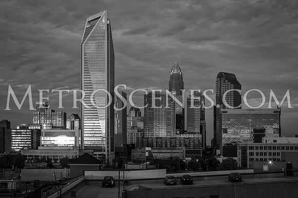 Charlotte Black and White