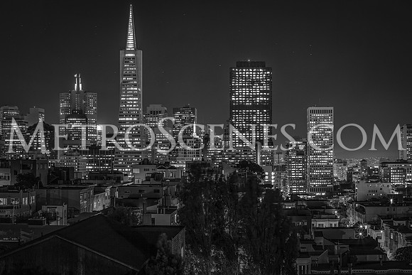 San Francisco Black and White