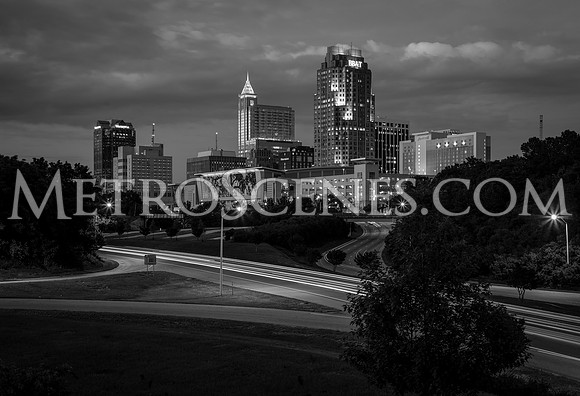 Raleigh Black and White
