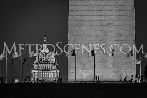 Washington DC Black and White