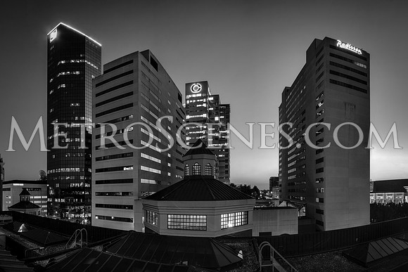 Lexington, KY Skyline Black and White