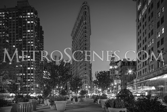 New York City Black and White
