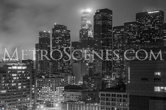 Los Angeles Black and White