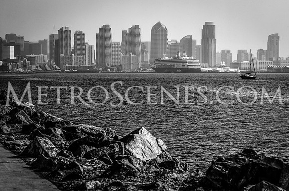 San Diego Black and White