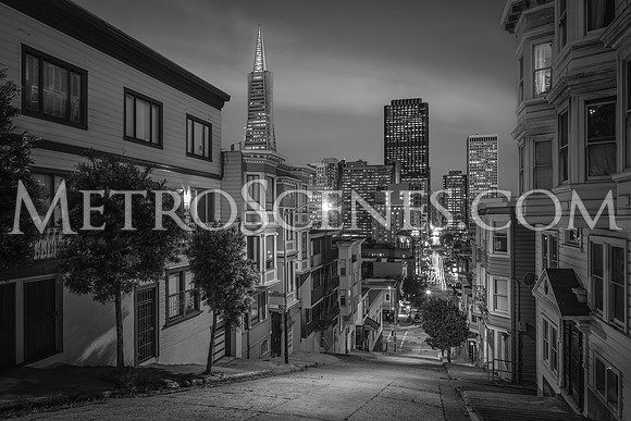 San Francisco Black and White