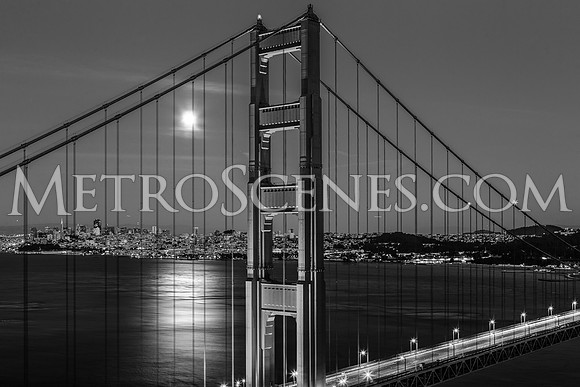 San Francisco Black and White