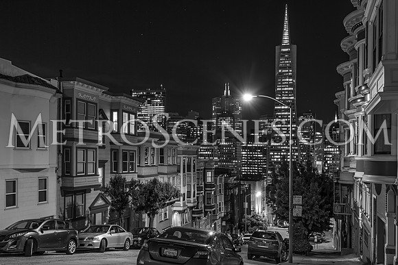 San Francisco Black and White