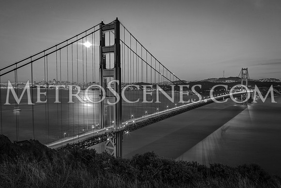San Francisco Black and White