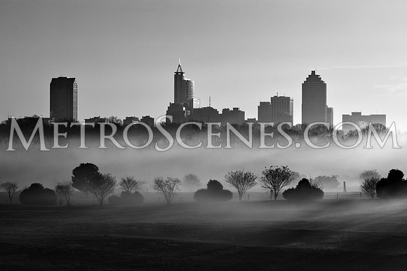 Raleigh Fog Black and White