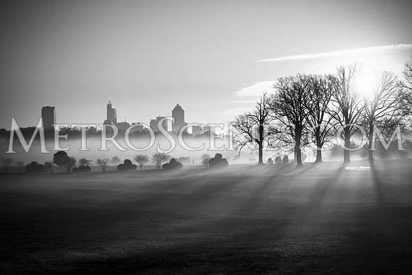 Raleigh Fog Black and White