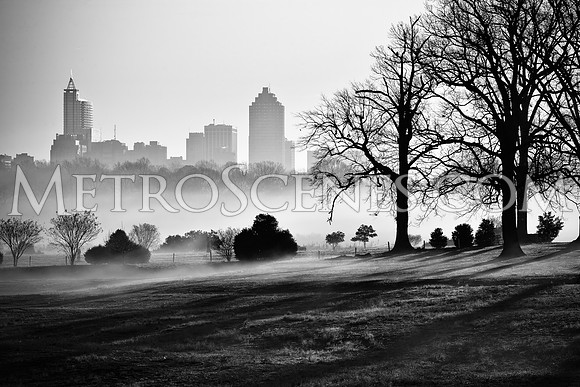 Raleigh Fog Black and White