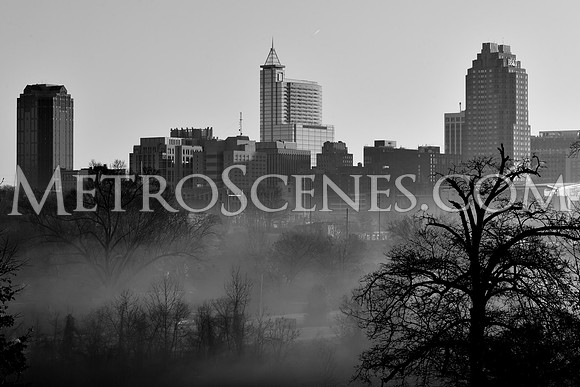 Raleigh Fog Black and White