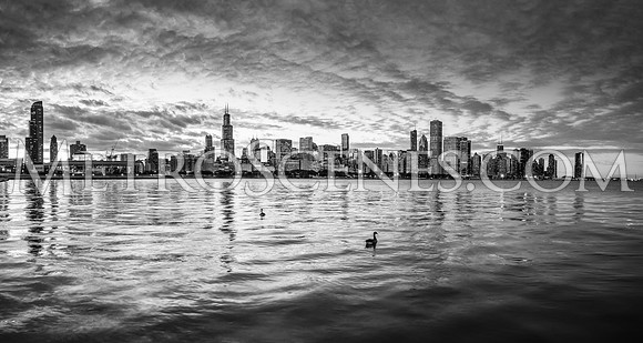 Chicago Lake Front Skyline black and white
