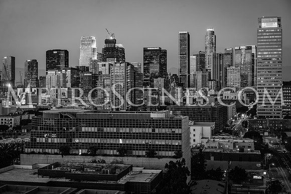 Downtown LA Black and White