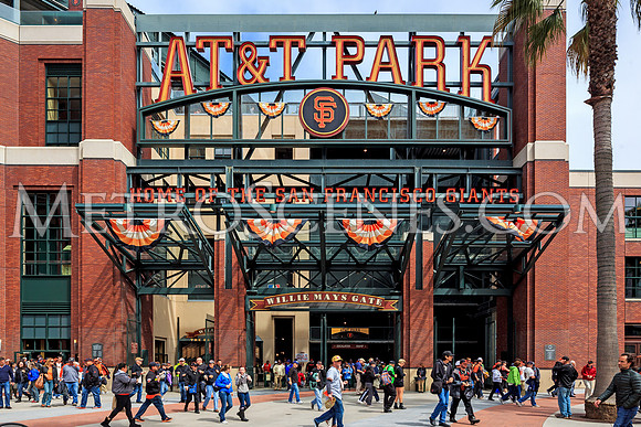 San Francisco Giants AT&T Park Stadium Print